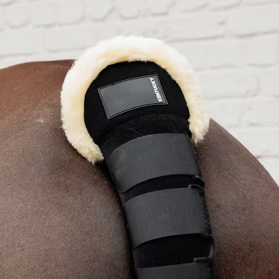 Transportní ochrana ocasu Kentucky s beránkem