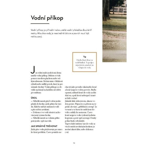 Publ Wittmann Working Equitation