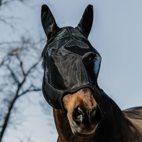 Maska na hlavu Equitheme Anatomic