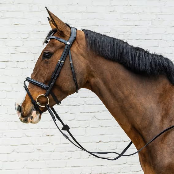 Uzdečka Dy'on Flash Soft angl. komb. nánosník