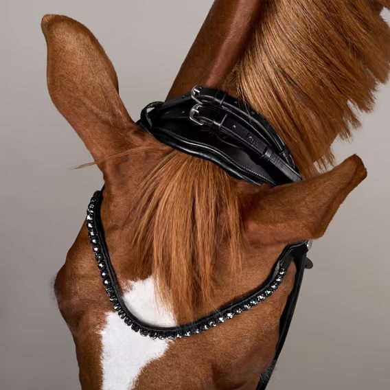 Uzdečka Dy'on ComfoHead Bridle WOIHHS