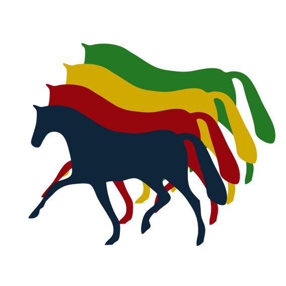 *EQS* Samolepka drezurní koník mix barev