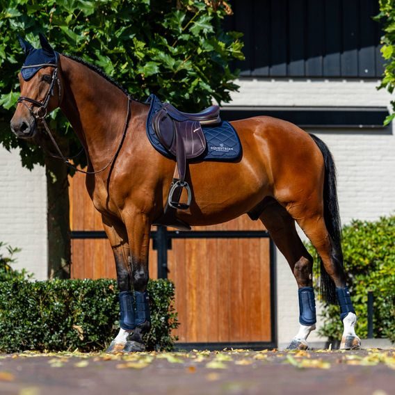 Čabraka na uši Equestrian Stockholm Line Midnight Blue Kolekce 2026