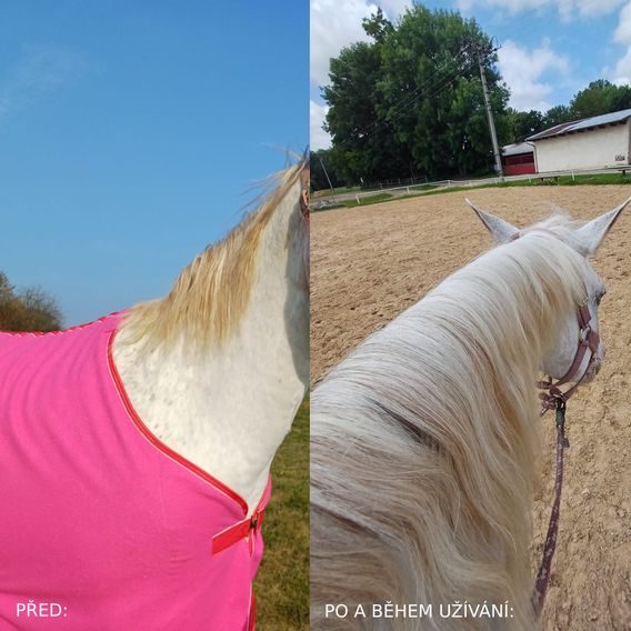 Havens EquiForce Foot 3 kg NA OBJEDNÁVKU