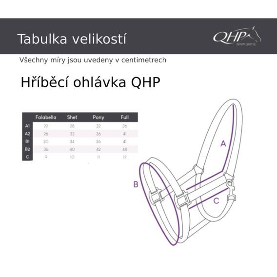 Ohlávka hříběcí kožená QHP Chico