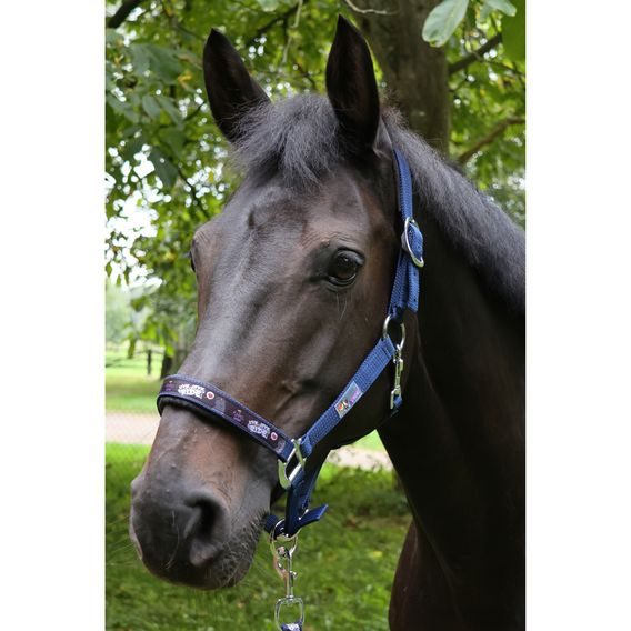 Ohlávka Equest Pummel Live Love Ride Kolekce 2024/25