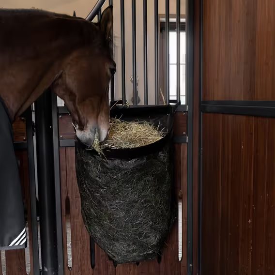 Vak na seno Kentucky