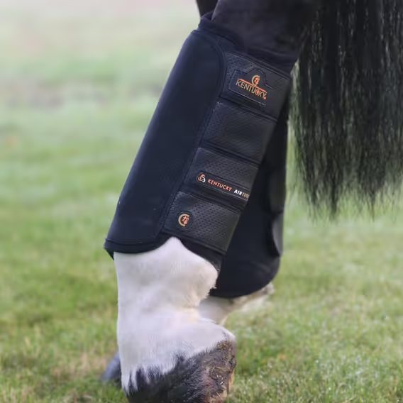 Kamaše Kentucky Eventing Air Tech zadní DOPRODEJ