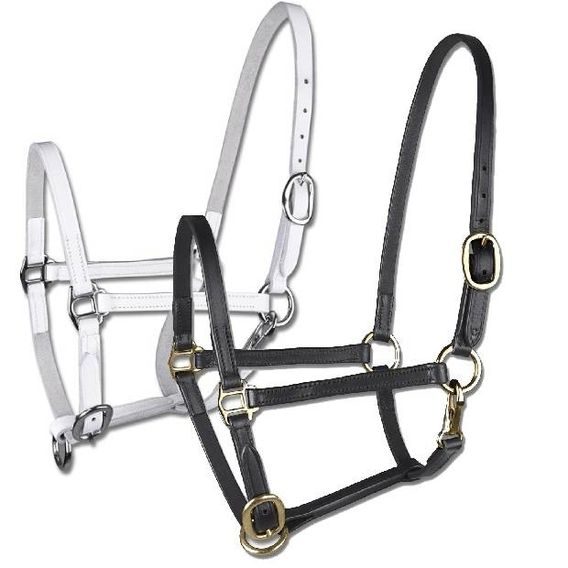 Kožená ohlávka Star Show DOPRODEJ