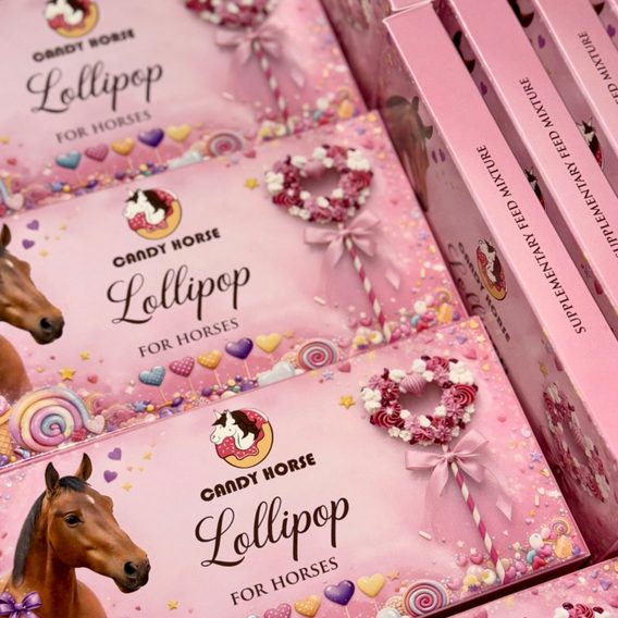 Pamlsek Candy Horse Lollipop 40-50g