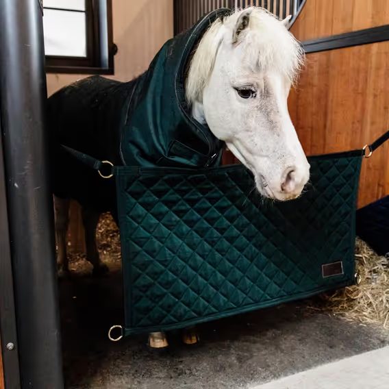 Závěr dveří závodního boxu Kentucky dark green