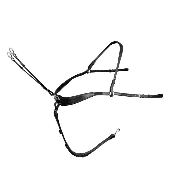 Poprsník Passier by Julia Krajewski