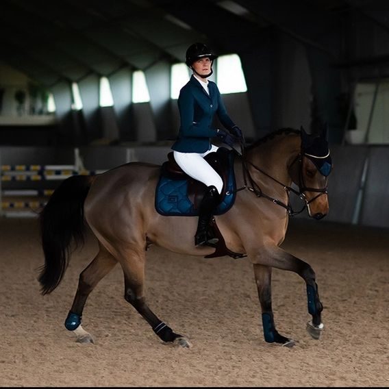 Podsedlová dečka Equestrian Stockholm Blue Meadow Glimmer KOLEKCE