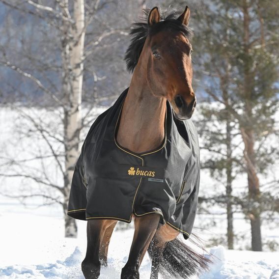 Deka výběhová Bucas Irish Turnout 100g Kolekce 2025/26