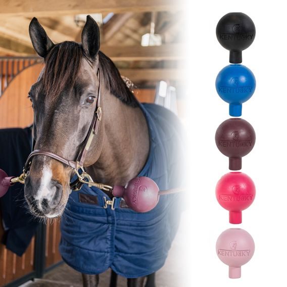 Ochranný gumový míček Kentucky na vodítko/úvaz