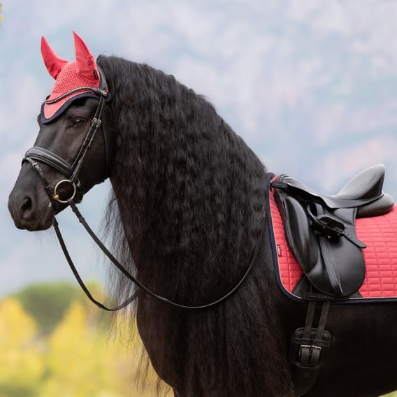 Podsedlová dečka LeMieux Suede Square Cranberry Kolekce 2025/26