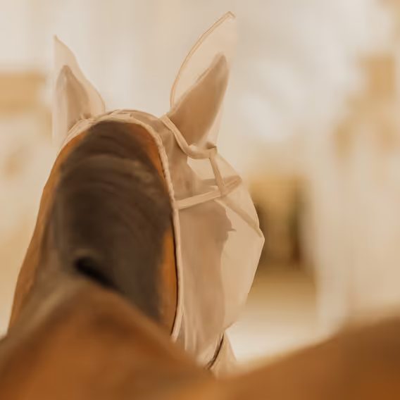 Maska na hlavu Kentucky Classic