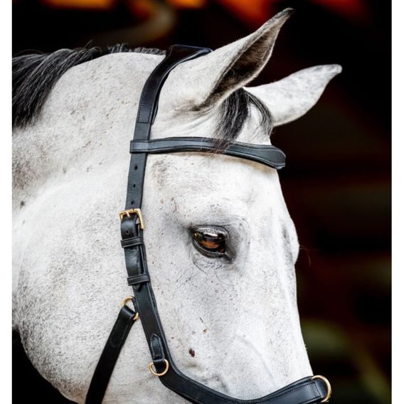 Uzdečka Horseware Micklem 2 Multi DOPRODEJ