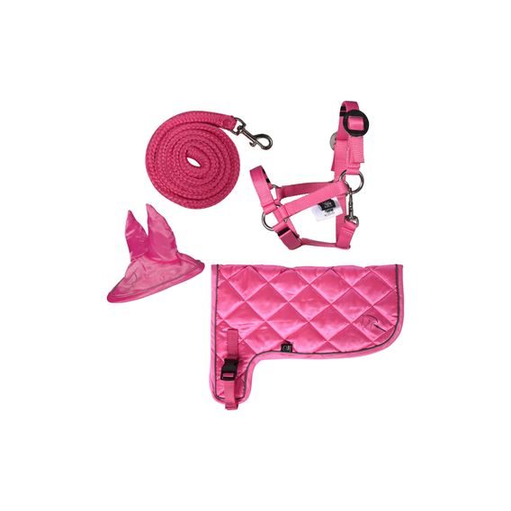 Hobby Horsing HKM Neon set