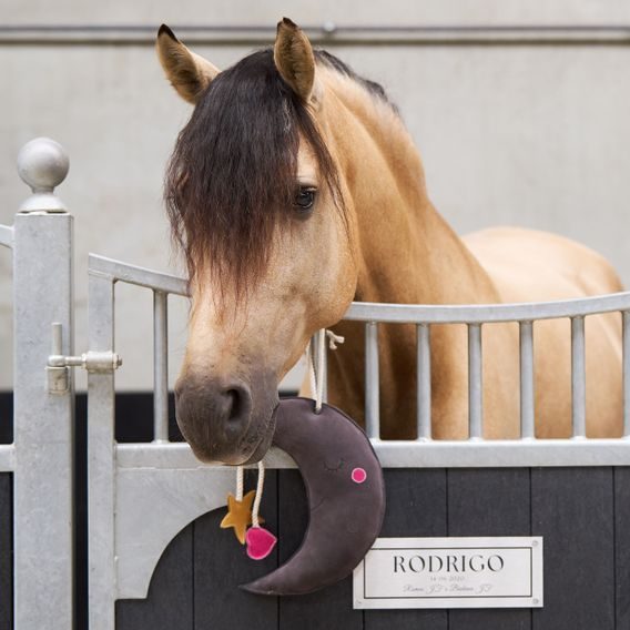 Hračka pro koně Imperial Riding Moony DOPRODEJ
