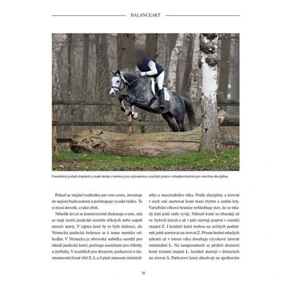 Publ Heuschmann Balanceakt