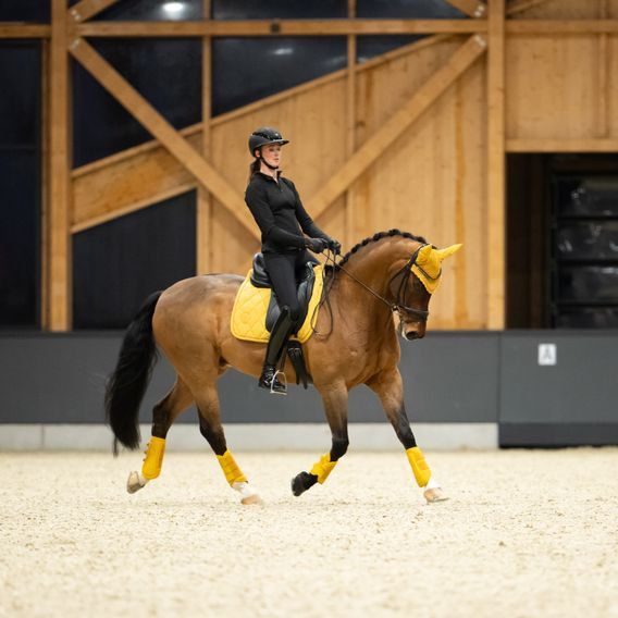 Kamaše Eskadron Platinum Faux Leather Kolekce 2025