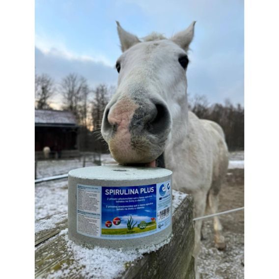 Minerální liz pro koně z mořské soli se spirulinou 3kg
