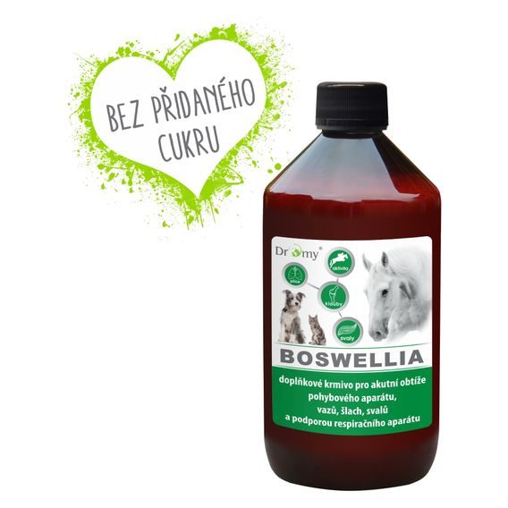 Dromy Boswellia liquid 1 l