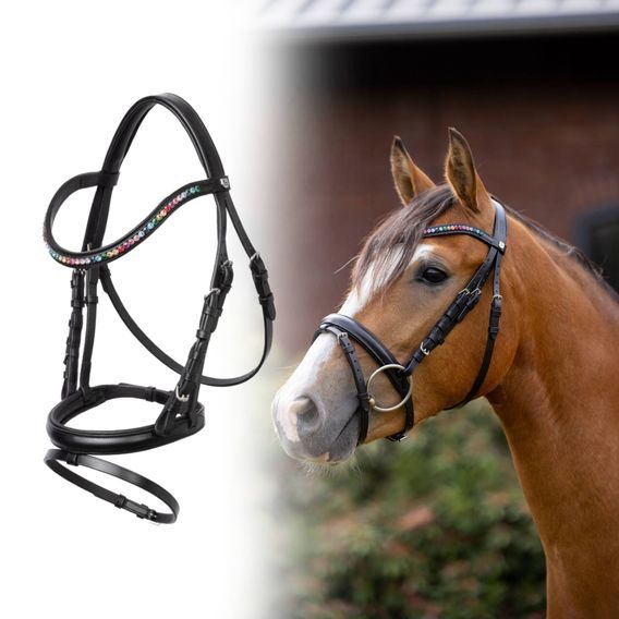 Uzdečka Horze Rainbow Dash angl. komb. nánosník