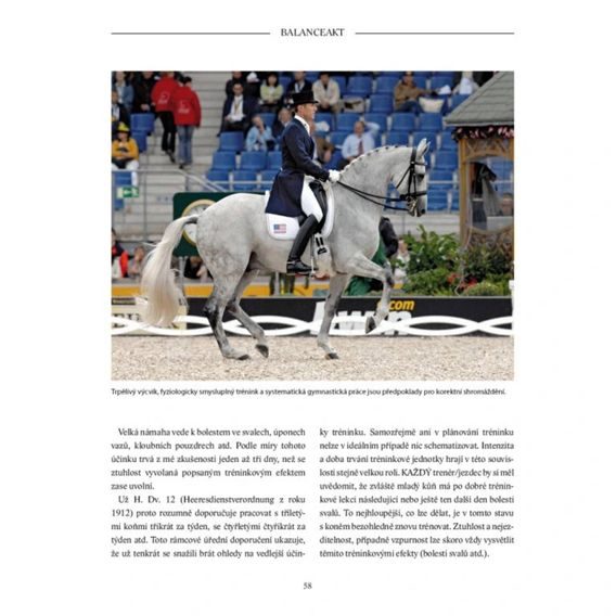 Publ Heuschmann Balanceakt