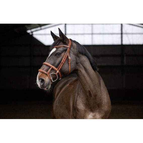 Uzdečka Stübben 2700 Pro-Jump Slide&Lock dvojitý nánosník