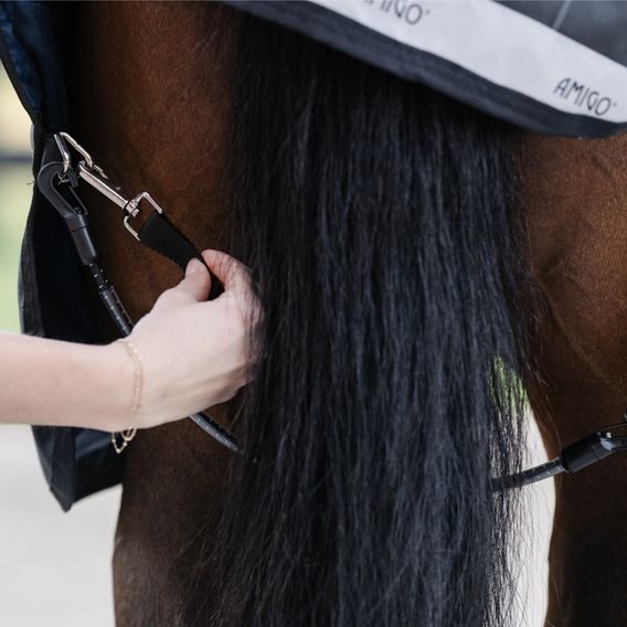 Elastické popruhy mezi zadní nohy Horseware pár