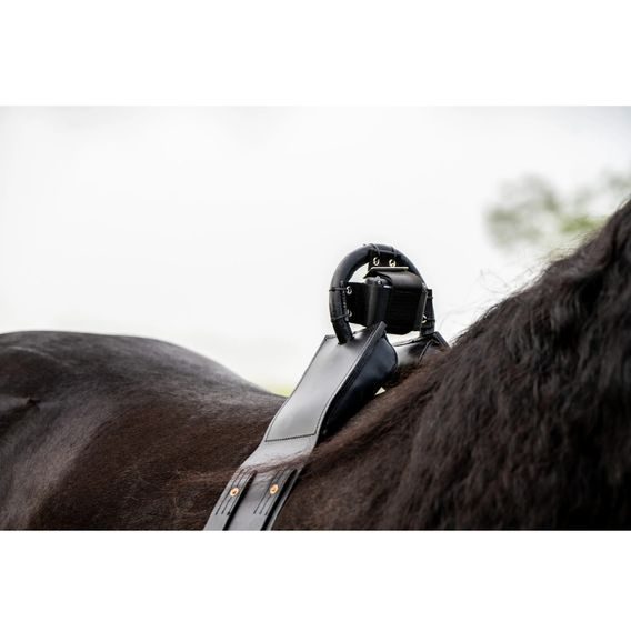 Birth Alarm Lite 2.0