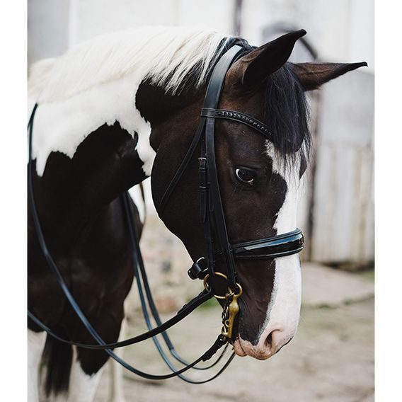 Uzda Passier Hubertus Schmidt