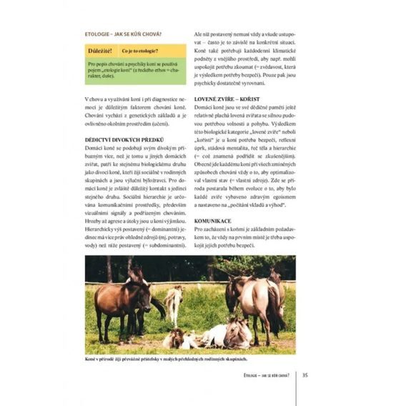 Publ Bender a Ritter Praktická příručka Zdraví koně DOPRODEJ