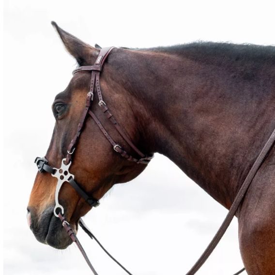 Uzdečka CWD Hackamore BR20HAC