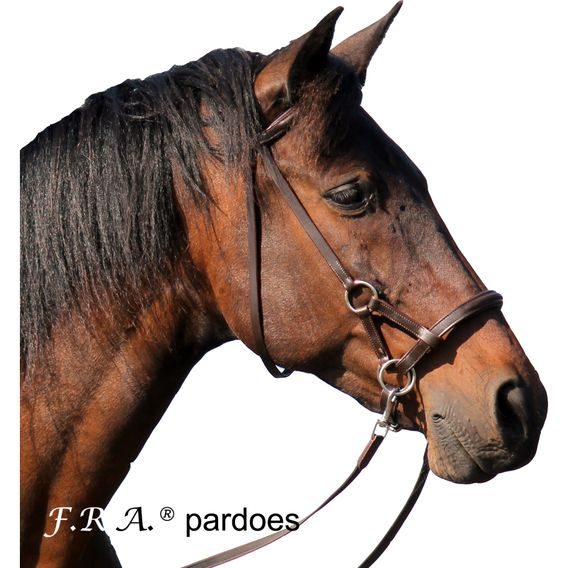 Bezudidlová uzdečka F.R.A. Pardoes