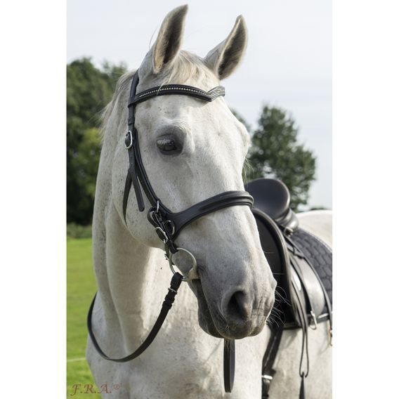 Bezudidlová uzdečka F.R.A. Runa DOPRODEJ