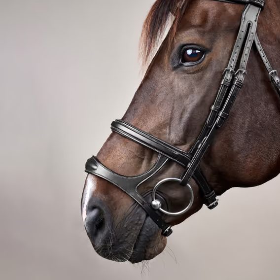 Uzdečka Dy'on Double Noseband Bridle NEAAAH