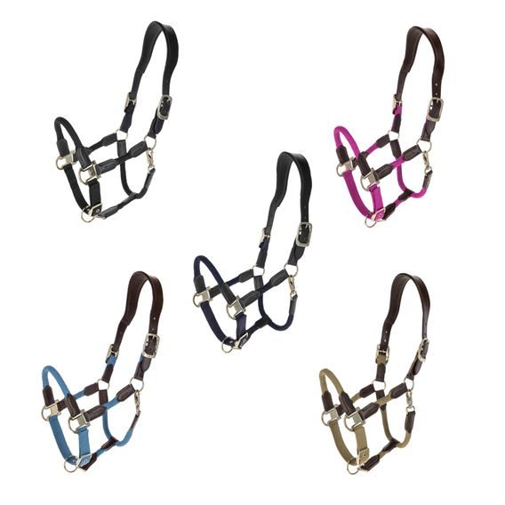 Ohlávka Covalliero Cordano Deluxe Kolekce 2026