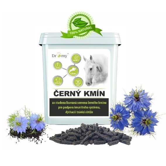 Dromy Černý kmín 3 kg DOPRODEJ