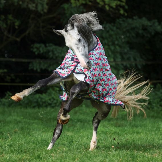 Deka lehká výběh. Bucas FreedomTurnout Light Camouflage Kol. 2024