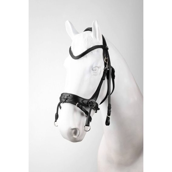 Uzdečka Horze Montana 2in1 DOPRODEJ