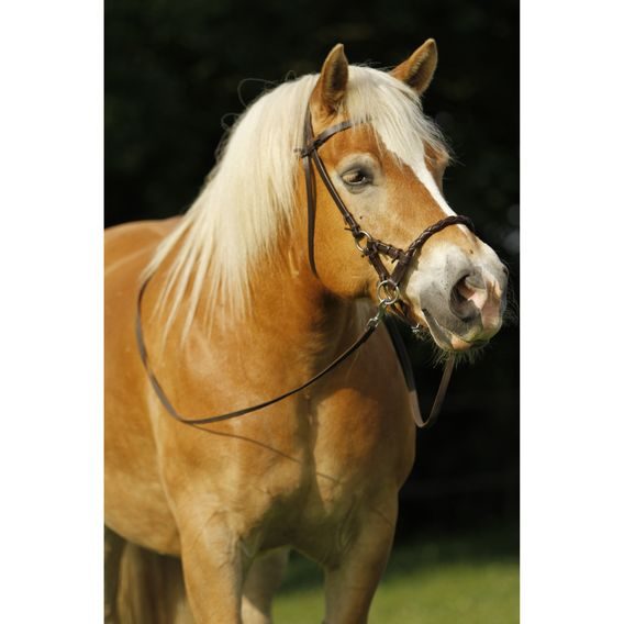 Bezudidlová uzdečka F.R.A. Pariba