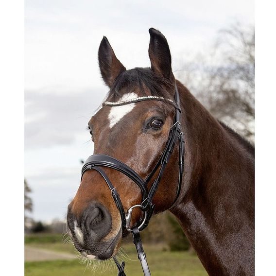 Uzdečka HKM Melinda švédský nán. kombi