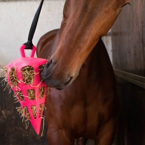 Slow Feeder Fun&Flex Carrot 22cm