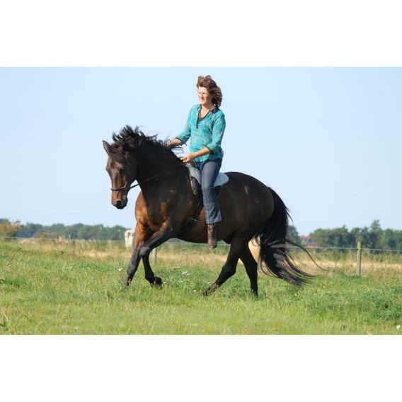 Barebackpad F.R.A. Free