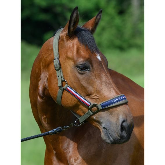 Ohlávka a vodítko Tommy Hilfiger Equestrian Yale Kolekce 2025