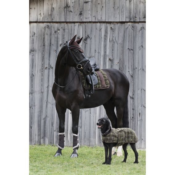 Podsedlová dečka Eskadron Platinum Big Square Bouclé Kolekce 2024/25