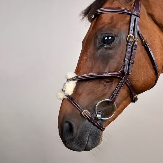 Uzdečka Dy'on Figure 8 Noseband Bridle DYAAAC